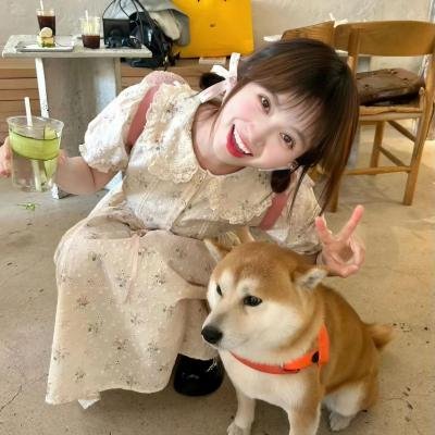 情谎记